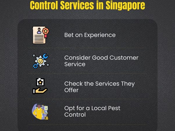 4 Tips in Choosing Residential Pest Control Services in Singapore