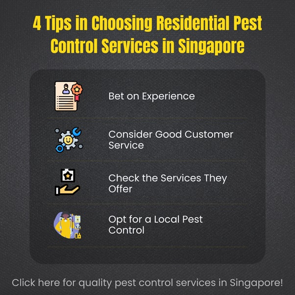 4 Tips in Choosing Residential Pest Control Services in Singapore